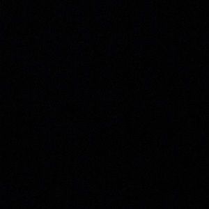 Meet your Posher, Will